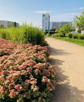 Ein Garten an der Unterkunft Akzent Congresshotel Hoyerswerda