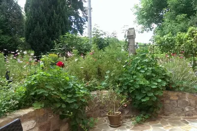 Ein Garten an der Unterkunft Sinnes Wandel Hof Serka