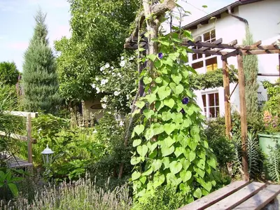 Ein Garten an der Unterkunft Ferienhaus-Weitblick