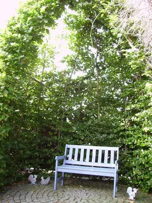 Ein Garten an der Unterkunft Ferienhaus-Weitblick