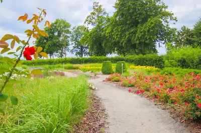 Ein Garten an der Unterkunft SeeHotel Großräschen
