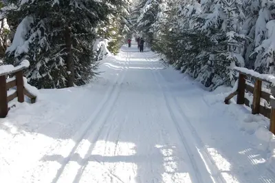 Landhotel Altes Zollhaus im Winter