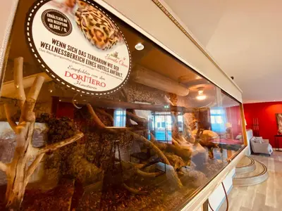 Essen im Hotel oder in der Nähe