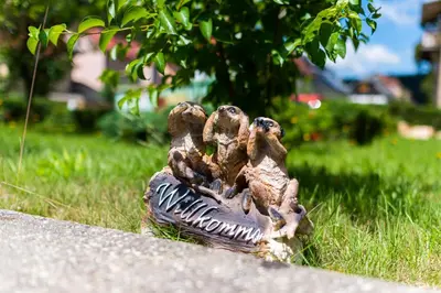 Tiere in der Ferienwohnung oder in der Nähe