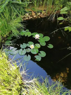 Naturlandschaft in der Nähe der Pension