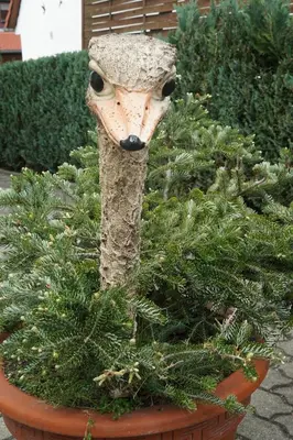 Ein Garten an der Unterkunft Pension Nr. 13 - B&B