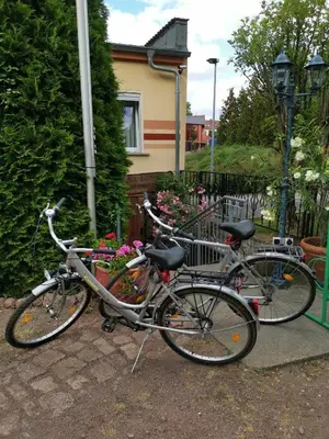 Radfahren an der Unterkunft Gästezimmer- und Ferienzimmer Am Gewölbekeller Meißen oder in der Nähe