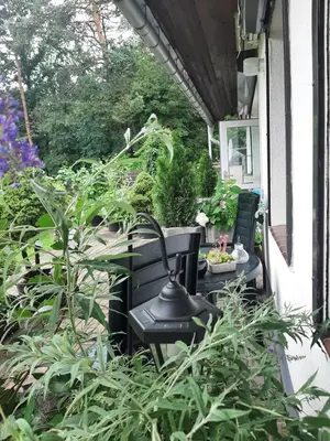 Ein Garten an der Unterkunft Landlust!