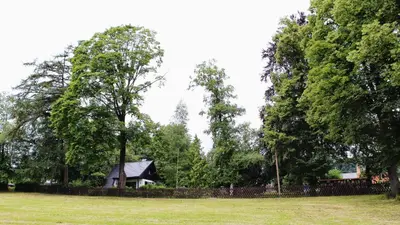 Ein Garten an der Unterkunft Ferienhaus Drebach