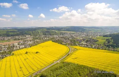Naturlandschaft in der Nähe der Ferienwohnung