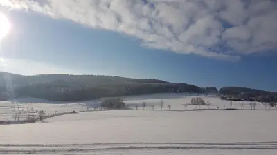 Naturlandschaft in der Nähe der Ferienwohnung