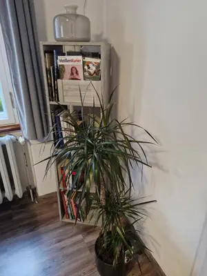Die Bibliothek in der Ferienwohnung