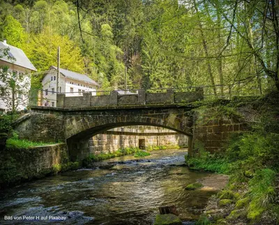Naturlandschaft in der Nähe der Ferienwohnung
