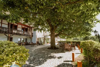 Ein Garten an der Unterkunft Waldhotel Kreuztanne