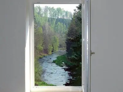 Naturlandschaft in der Nähe der Ferienwohnung