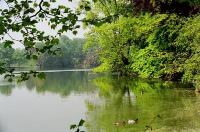 Naturlandschaft in der Nähe des Hotels