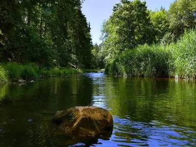 Naturlandschaft in der Nähe der Villa