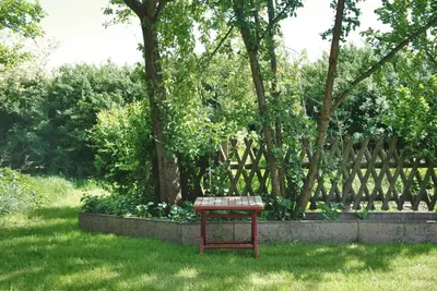 Ein Garten an der Unterkunft Ferienhaus Erna