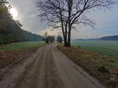 Naturlandschaft in der Nähe des Ferienhauses