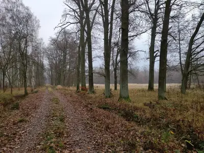 Naturlandschaft in der Nähe des Ferienhauses