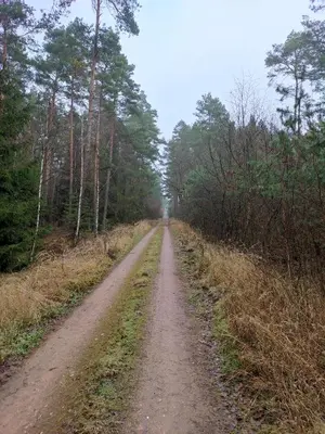 Naturlandschaft in der Nähe des Ferienhauses