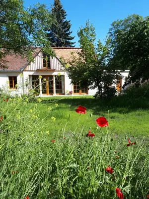 Ein Garten an der Unterkunft Ferienhaus Zur Ausspanne
