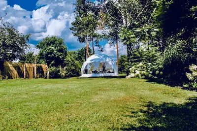 Ein Garten an der Unterkunft B OUR GUEST at Your cozy hideaway Dome near Dresden