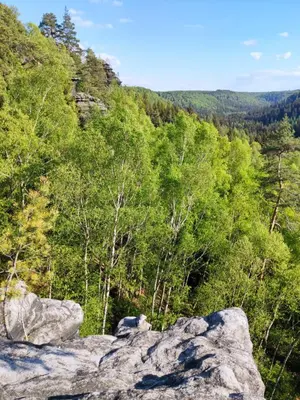Naturlandschaft in der Nähe der Ferienwohnung