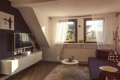 TV/Unterhaltungsangebot in der Unterkunft Goldrausch - Glanzvolle Ferienwohnung in Meißen am Lutherplatz