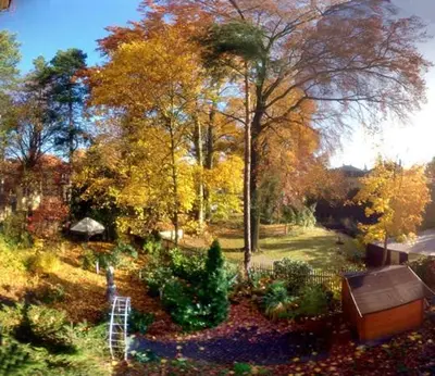 Ein Garten an der Unterkunft Hotel Villa Herzog