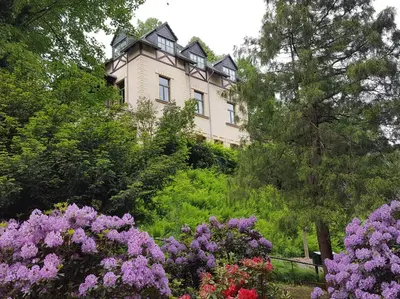 Ein Garten an der Unterkunft Art-House Kurort Rathen