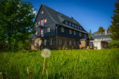 Ein Garten an der Unterkunft Berghaus Falkenhorst