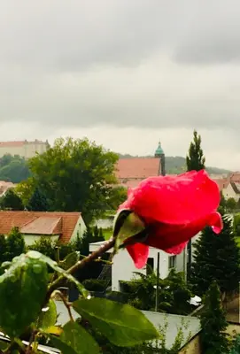 Grundriss der Unterkunft Ferienwohnung Pirna-Panorama