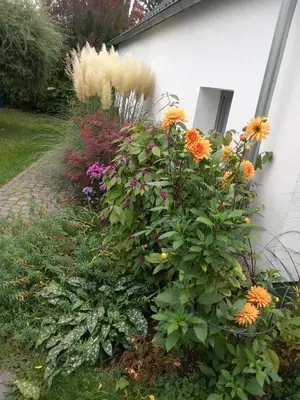 Ein Garten an der Unterkunft dresden-ferien haus