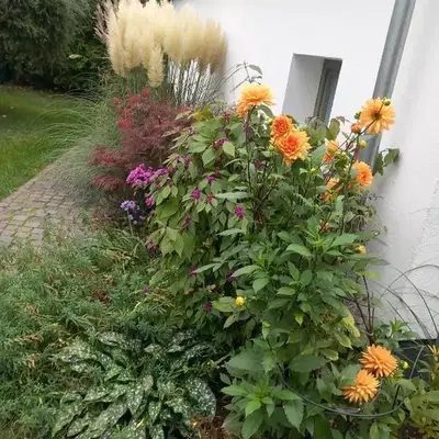 dresden-ferien haus
