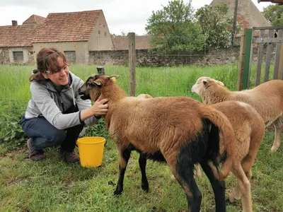 Tiere im Ferienhaus oder in der Nähe