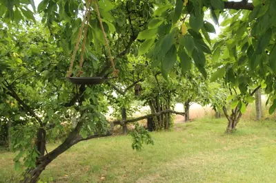 Ein Garten an der Unterkunft Apartment am Hutberg