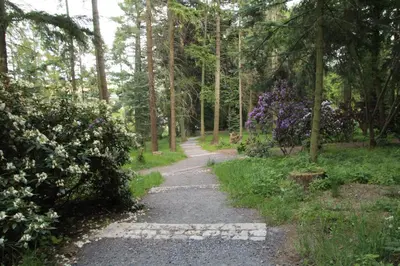 Ein Garten an der Unterkunft Apartment am Hutberg