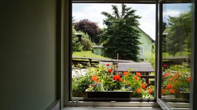 Ein Garten an der Unterkunft Sandsteinperle