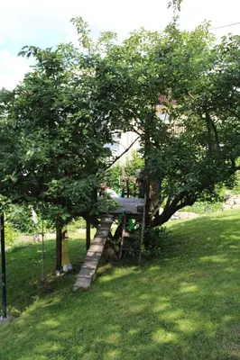 Ein Garten an der Unterkunft Ferienwohnung Pirna - [#a44102]