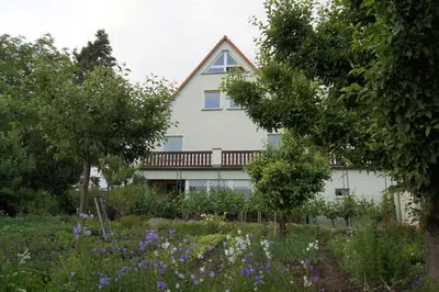 Ein Garten an der Unterkunft Pension Elbblick Sabine Zuschke