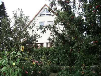 Ein Garten an der Unterkunft Pension Elbblick Sabine Zuschke