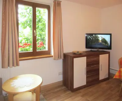 TV/Unterhaltungsangebot in der Unterkunft Ferienwohnung Königstein