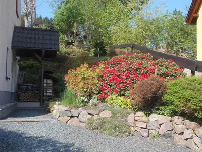Ein Garten an der Unterkunft Ferienwohnung Lohse