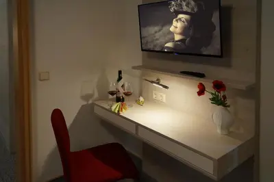 TV/Unterhaltungsangebot in der Unterkunft Erzgebirgshotel Misnia Bärenfels