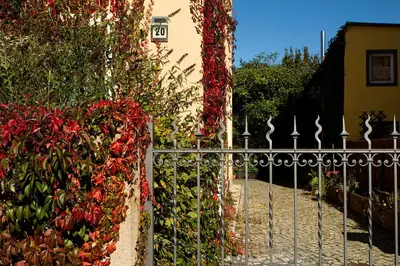 Ein Garten an der Unterkunft Frank´s Ferienwohnung in Dresden