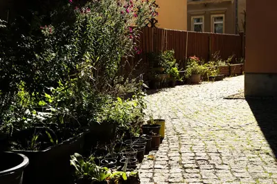 Ein Garten an der Unterkunft Frank´s Ferienwohnung in Dresden