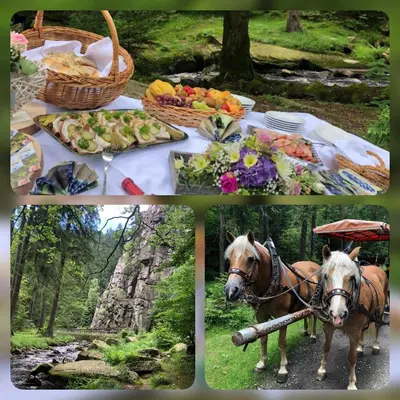 Tiere im Hotel oder in der Nähe
