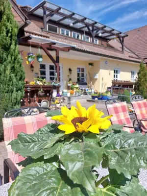 Ein Garten an der Unterkunft Hotel Zum Poppschen Gut