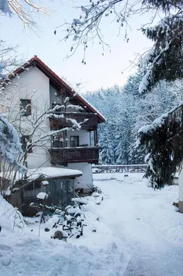 Zur Margarethenmühle - Landgasthof und Waldhotel im Winter